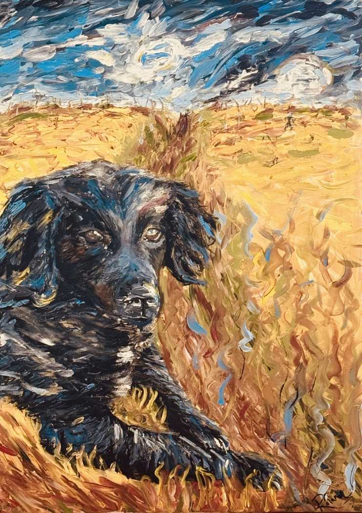 Black Dog in a Field of Fire