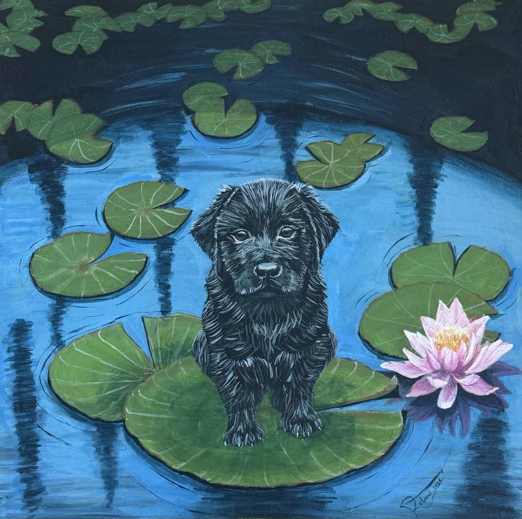 Lily pad Puppy