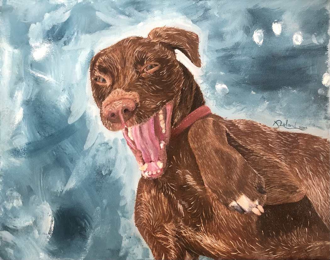 Dylan the Dog