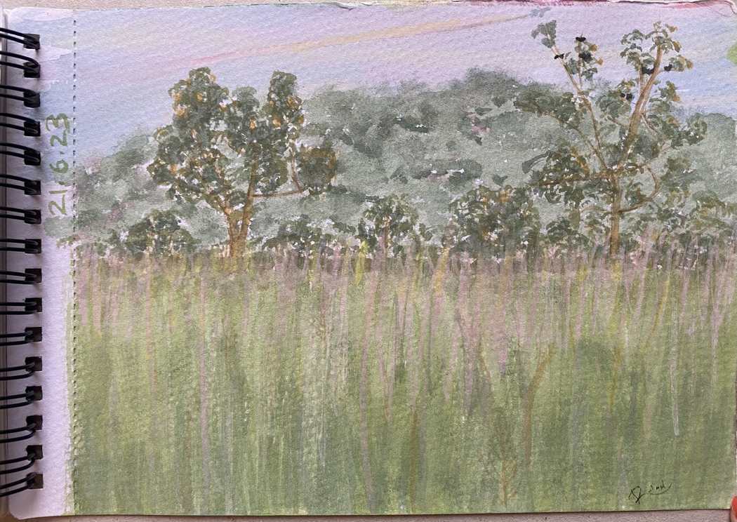 Countryside