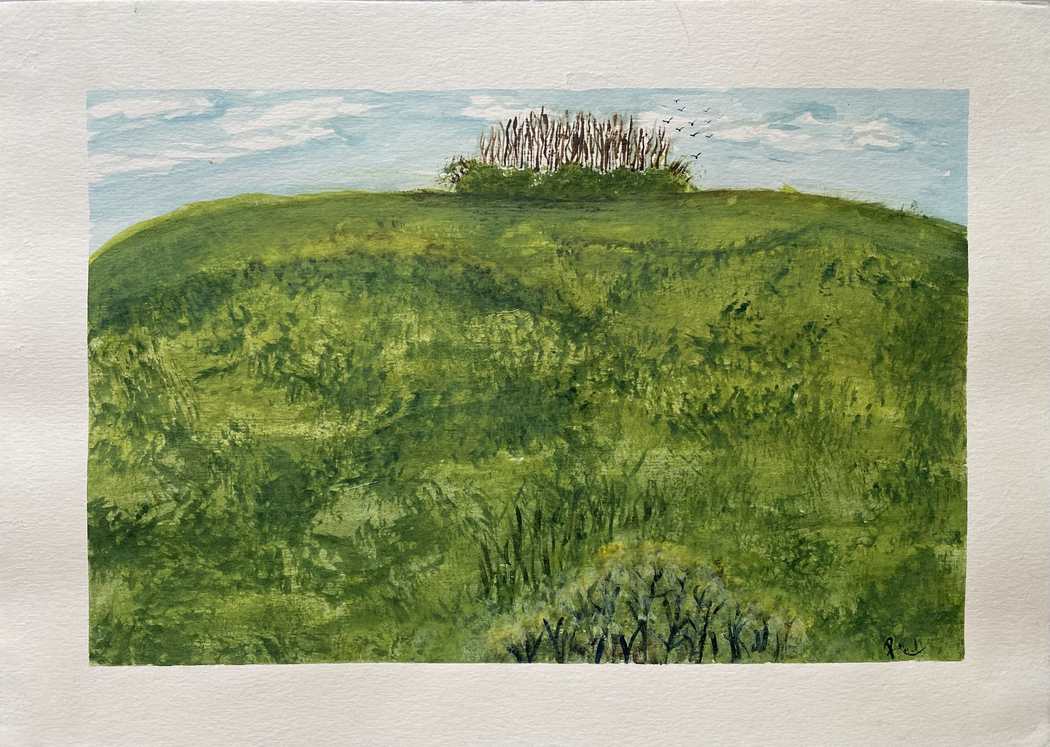 Grass Hill